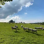 Suzanne's Rochehaut