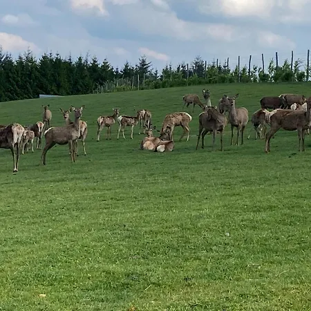 Suzanne's * Rochehaut