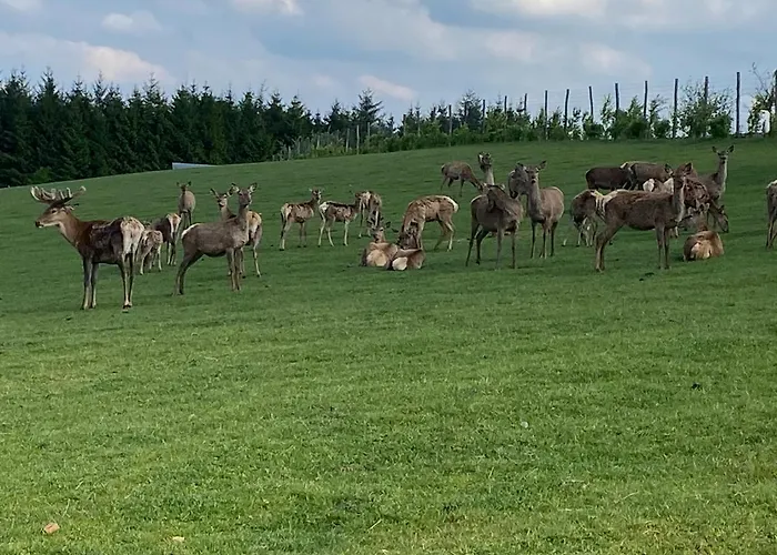 Suzanne's * Rochehaut